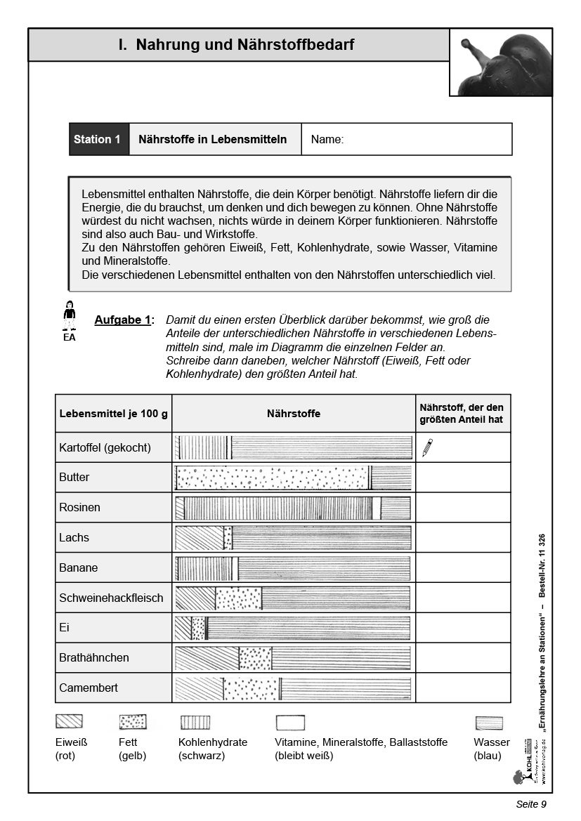 Ernährungslehre an Stationen Mit Spaß und Aktion zur gesunden Ernährung / PDF, ab 12 J.