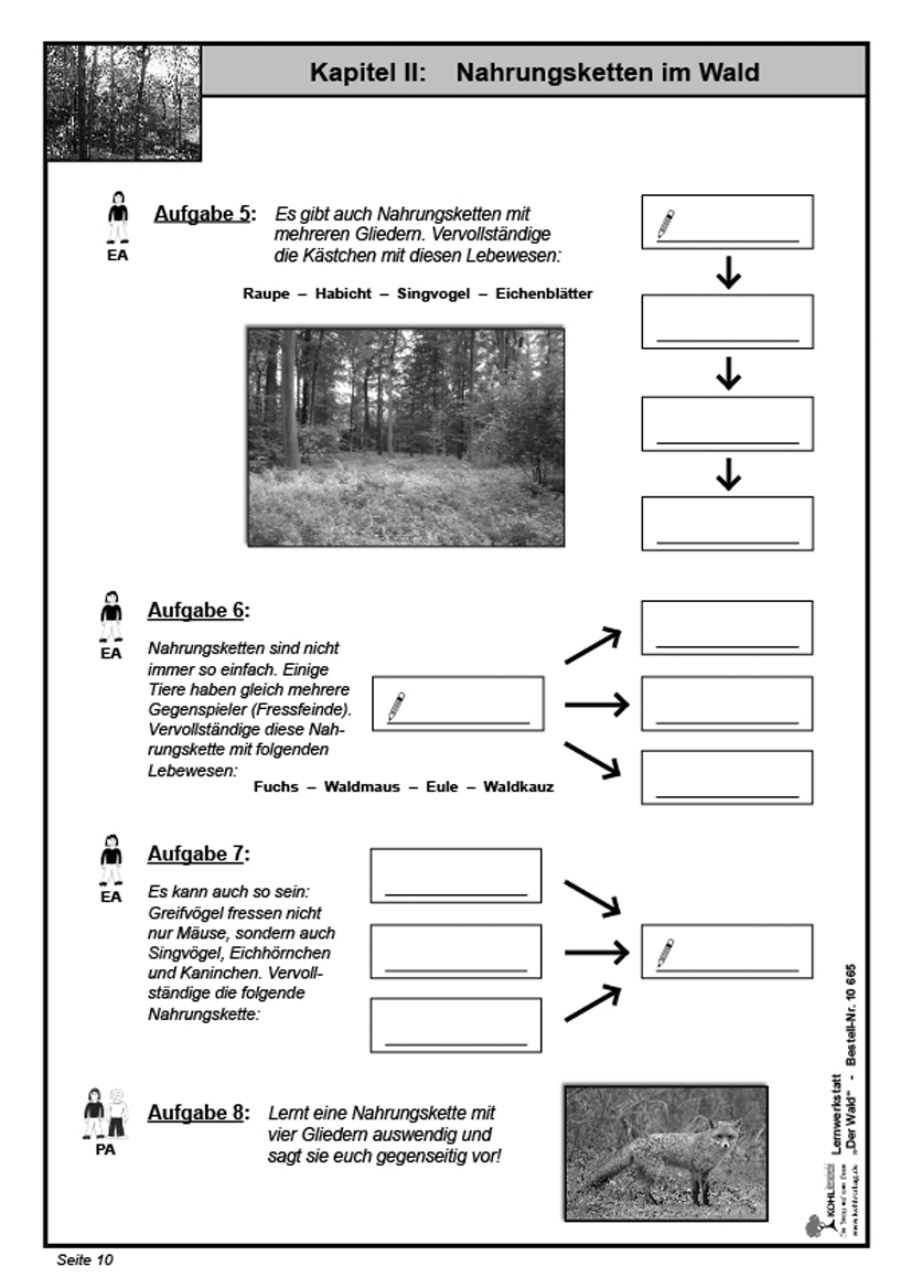 Lernwerkstatt Der Wald, PDF, ab 8 J., 48 S.