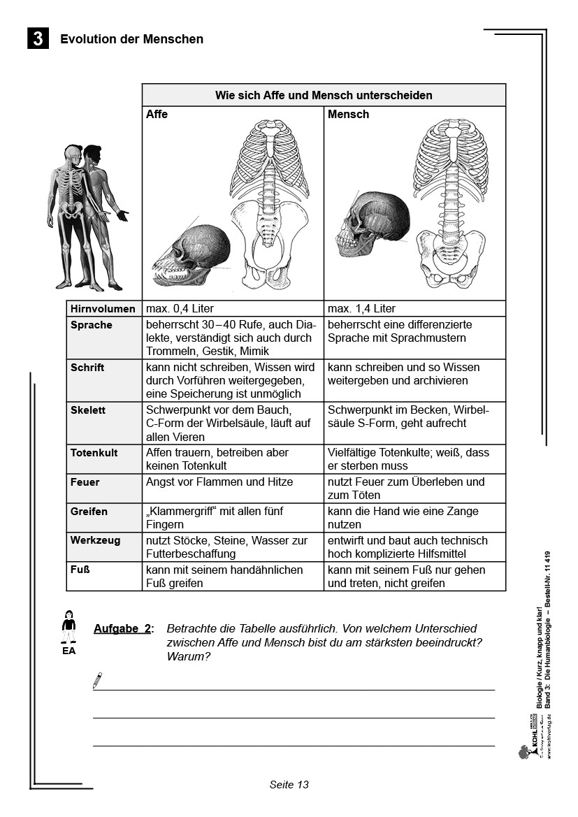 Biologie - Kurz, knapp & klar! Band 3: Die Humanbiologie PDF, 80 S.