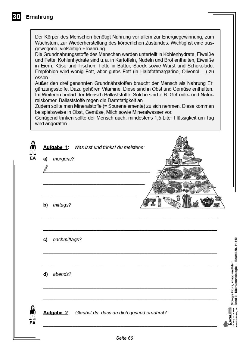 Biologie - Kurz, knapp & klar! Band 3: Die Humanbiologie PDF, 80 S.