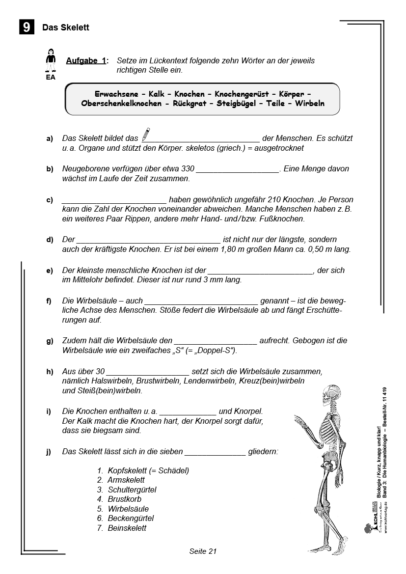 Biologie - Kurz, knapp & klar! Band 3: Die Humanbiologie, 80 S.