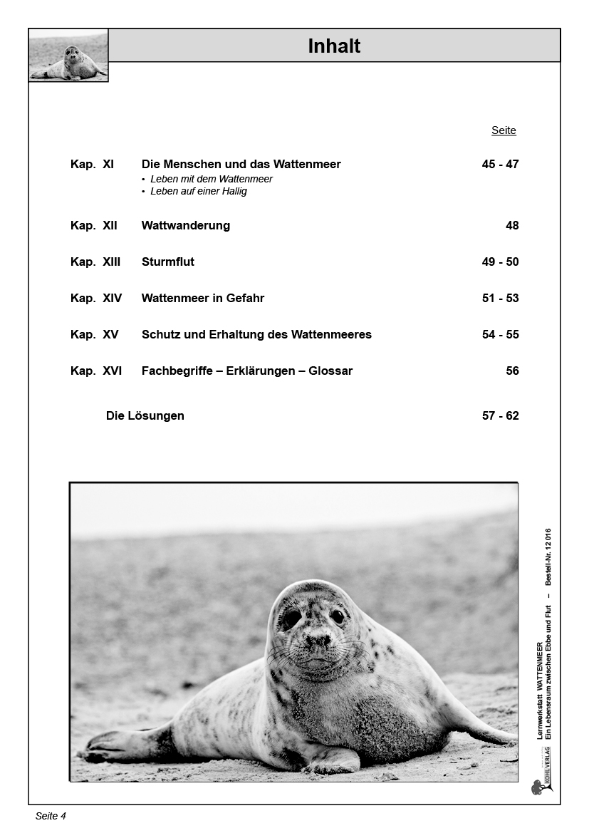 Lernwerkstatt Wattenmeer PDF, ab 10 J., 64 S.