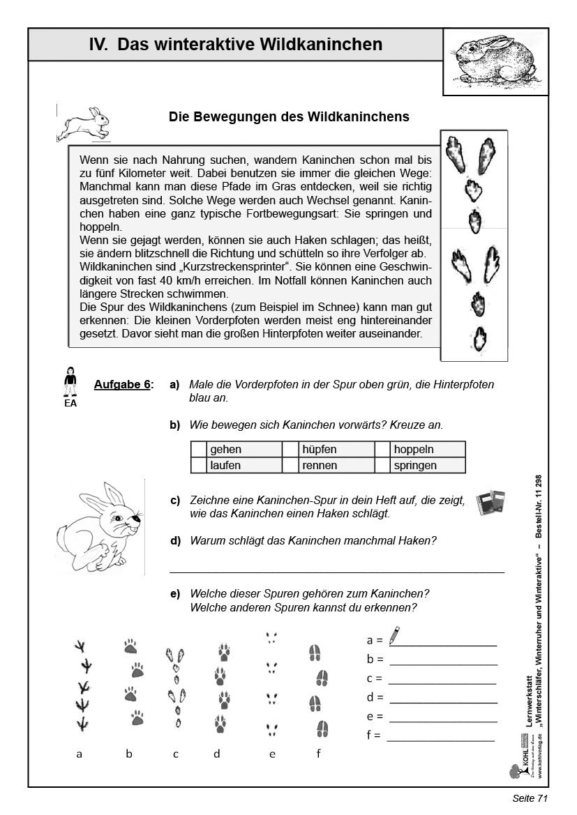 Lernwerkstatt Winterschläfer, Winterruher & -aktive PDF, ab 9 J., 112 S.