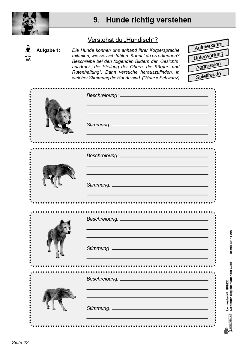 Lernwerkstatt Hunde PDF, ab 9 J., 48 S.