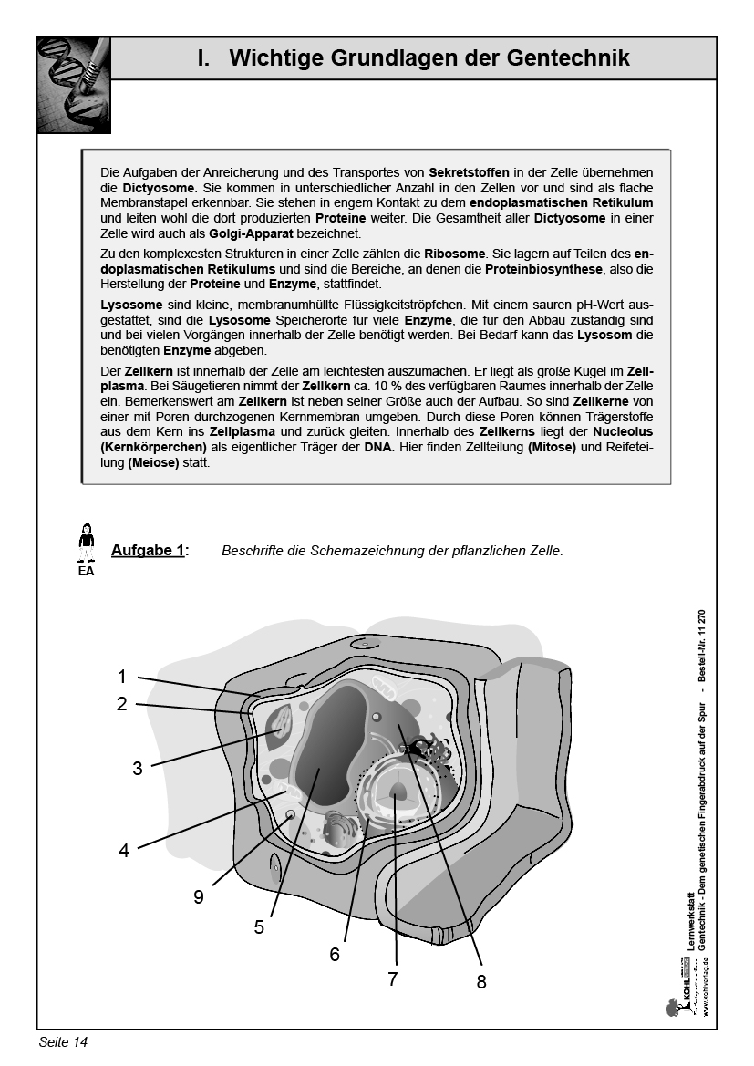 Lernwerkstatt Gentechnik/ PDF, ab 13 J., 64 S.